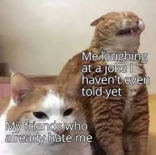 Funny Catto Meme Memes Funnymemes Funny Animal Memes Funny Animal Jokes Funny Cat Memes