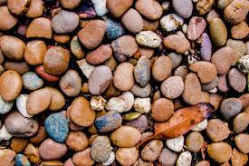 We did not find results for: Kerikil Batu Foto Gratis Di Pixabay