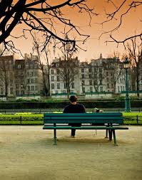 Ile De La Cite Paris Iv Ile Saint Louis Ile De France Quartier Paris