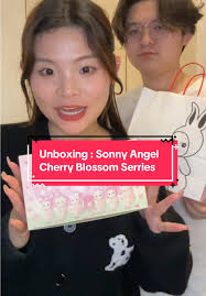 Unboxing Sonny Angel : Qui a eu le plus de chance ?