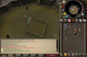 Mod Bruno On Twitter Got The Farming Pet From A Harvesting Hespori D The Jmod Luck Finally Came Through Https T Co Pk8g5kbicf Twitter