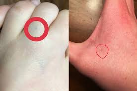 14 Diy Canopies You Need To Make For Your Bedroom New Place Pencil Spray Paint Cans Et Still Have