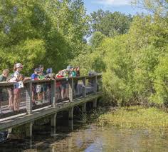 ODC Network Annual Report