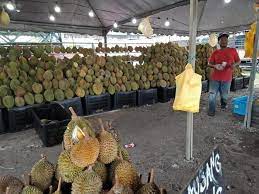 The ministry of health (moh) has today called. Ilham Media Berita Baik Untuk Penggemar Durian Facebook