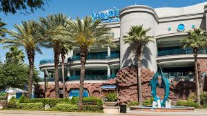 You'll also encounter a giant octupus, wolf eel and moray eel, clownfish, tangs and grouper. A Complete Guide To Houston S Downtown Aquarium