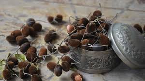 Image result for Dialium