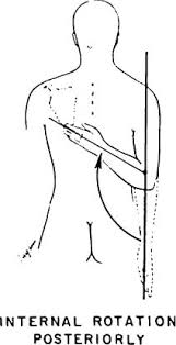 Shoulder Range Of Motion Musculoskeletal Key