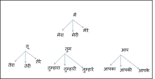Speak Hindi Pronouns Possessive Learn Hindi Hindi Possessives