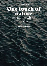 The great nature run is just a pilot right now, meaning there is no guarantee it will go to series. 105 Inspirational Nature Quotes On Life And Its Natural Beauty