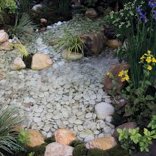 Maybe you would like to learn more about one of these? A Wildlife Friendly Pond