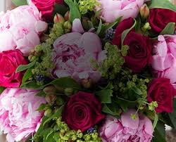 Whether you're looking to buy flowers and gifts like roses, orchids, gift baskets, bonsai trees, flowering plants or wedding bouquets. Flower Delivery Order Flowers Online Uk Appleyard London