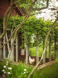 votre poulailler n a pas a gacher le beau decor de votre jardin voici 18 tres beaux exemples a beau beaux de decor ex poulailler jardins idees jardin