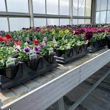 Hours may change under current circumstances Flowers On Main Request A Quote 22 Photos Florists 804 N Main St Georgetown Il Phone Number Products Yelp