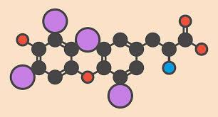 Image result for Thyroxine