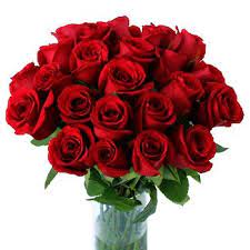 Check spelling or type a new query. Flower Delivery Pereira Online Florist Pereira