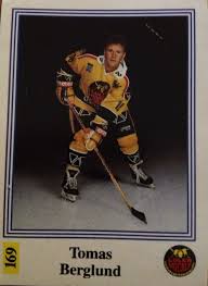 Luleå, luleå hockey, rssfeed, skellefteå, skellefteå aik. Hockeybockey Rockys Funderingar En Hockeyblogg Sida 9