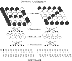If et left，how many letters are left？ brain out. Simulated Apoptosis Neurogenesis Regulates Learning And Memory Capabilities Of Adaptive Neural Networks Neuropsychopharmacology