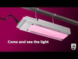 Philips is also a leader in led lighting. Make The Easy Switch From Hps To Led Grow Lights With The New Philips Led Tlc Youtube