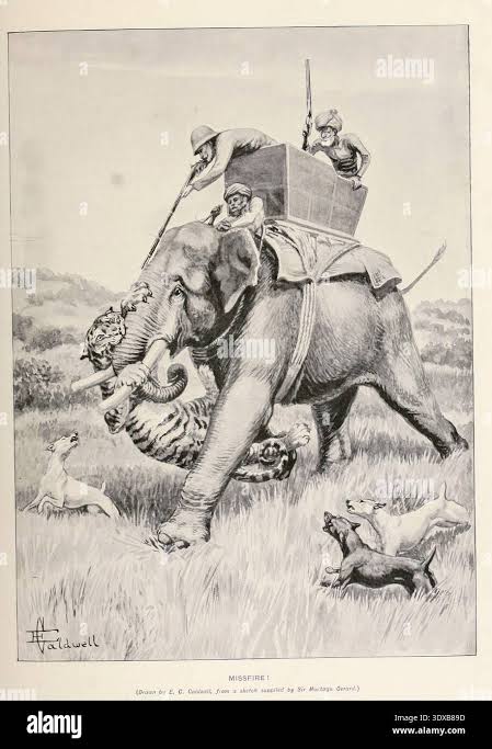 Vintage elephant hunting hi-res stock photography and images - Alamy