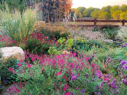 Curtis Manning (@curtismanningdesign) • Instagram photos and videos