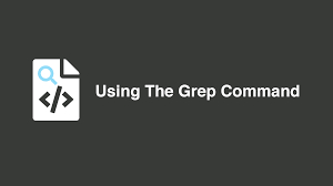 The text search pattern is called a regular expression. How To Use Grep Command To Search Files In Linux Skillsugar