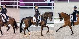 ARC Closed Restricted Dressage Competition