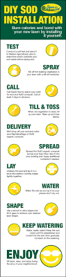 Why Laying Your Own Sod Is Your Next Saturday Project Simple Steps For Sod Installation Helpful Links And Ways To Make T Sod Installation Lawn Care Diy Lawn