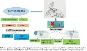 Image result for PECARN Pediatric Intra-Abdominal Injury Algorithm