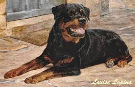 We breed and import dogs from europe feel free to contact them regarding puppy availability. Pets For Adoption At Rottweiler Rescue Of Michigan Inc In Lansing Mi Petfinder
