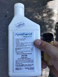 This Needs To Be The Standard Bedbug Treatment In America No Bagging Clothes Actually Kills For 90 Days Bedbugs