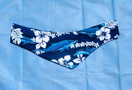 Maybe you would like to learn more about one of these? Thyroid Shield Slip Covers Rayos Education