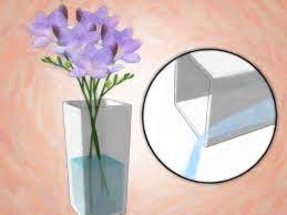 How To Grow Freesias 13 Steps With Pictures Wikihow