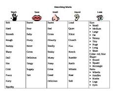 Describing Words Chart The 5 Senses