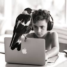 Goodreads helps you keep track of books you want to read. Penguin The Magpie The Bird That Became A Bloom Audubon