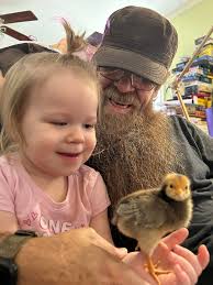 How to introduce a heeler dog to live with chickens without harming them?