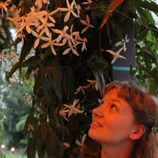 Revisiting Ye Olde Cheshire Cheese