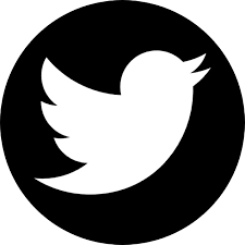 Icon logo, twitter logo, twitter logo, blue, social media, area png. Twitter Logo Png