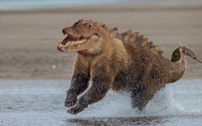 Miguel Bravo The Requested Crocobear Hybrid Animal Weird Photoshopped Animals Bizarre Animals Animal Mashups