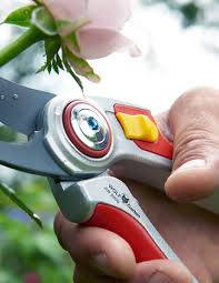 Wendel landkreis sankt wendel location • Wolf Garten De