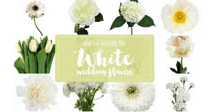 Types of white flowers and their names. White Wedding Flowers Guide Types Of White Flowers Names Pics