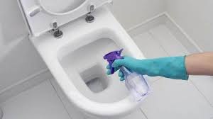 4 Soluzioni Naturali Per Eliminare Le Macchie In Bagno Pulizia Del Wc Pulizia Water Pulizia Del Bagno