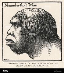 Neanderthal Man High Resolution Stock Photography and Images - Alamy