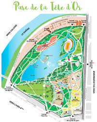 S'il fait trop chaud pour marcher ou courir, je vous suggère de vous rendre du côté de l'embarcadère du parc pour louer un pédalo, une barque ou un bateau électrique et de prendre le frais sur les eaux du lac entre les cygnes et les canards. Le Parc De La Tete D Or Lieu Incontournable A Lyon