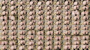 Anal fisting, avocado in my small ass, I get an orgasm, I was very excited  by them) - XNXX.COM