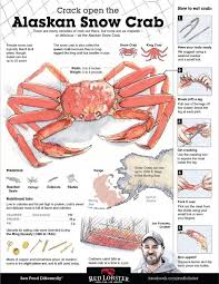 How To Eat Crab Visual Ly Alaskan Snow Crab Crab Alaskan King Crab