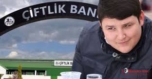Dolandirdin Bari Dalga Gecme Tosun Haberi Dalga Ciftlikler Haber