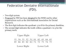 Tooth Numbering System