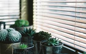 Plantation shutters, blinds, and shades custom made for your tampa home. Rick And Carleen Degolyer Florida Shutters Blinds County Advisory Board