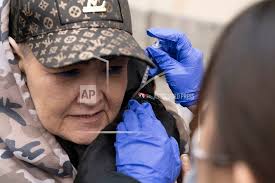 Dogs sit and stay to get vaccinated against parvovirus at San Francisco  free clinic