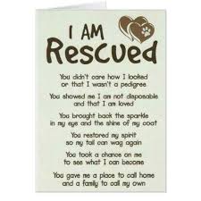 I Am Rescued Best Dog Dad Card Zazzle Com In 2021 Rescue Quotes Rescue Dog Quotes Dog Poems
